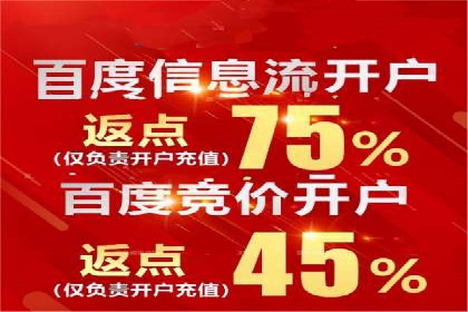 百度推广服务费案例：揭秘大品牌推广成功秘诀