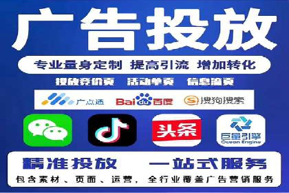 网络推广与竞价策略实战案例